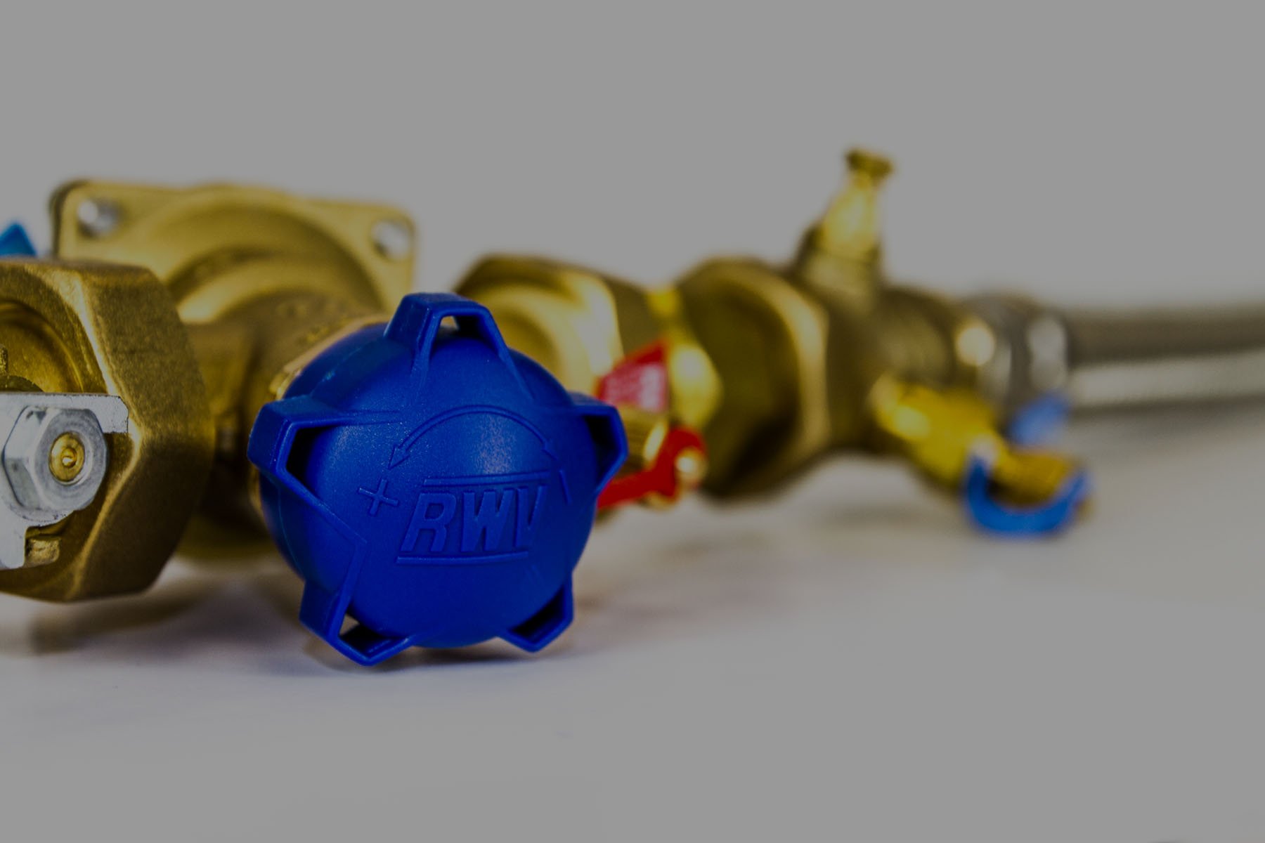 RedWhite Valve Corp. Valve Manufacturer and Supplier