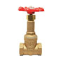 RedWhiteValve Gate Valve 208B